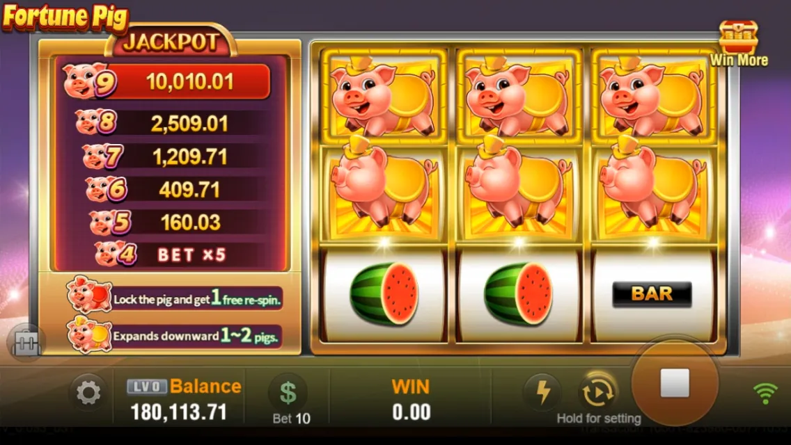Fortune Pig game interface screenshot 4