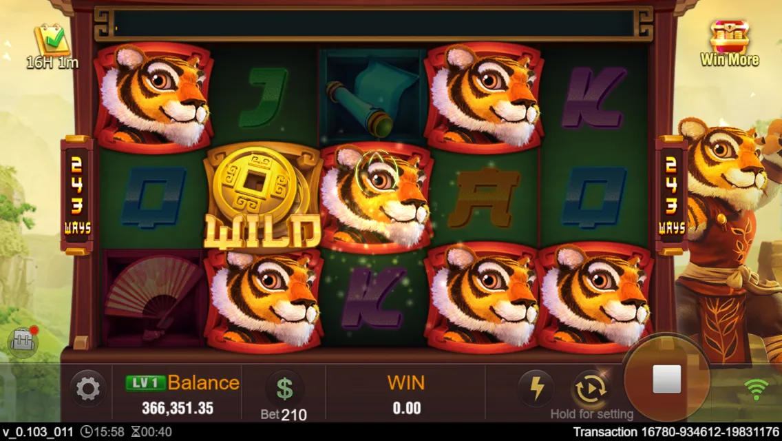 Master Tiger game interface screenshot 3